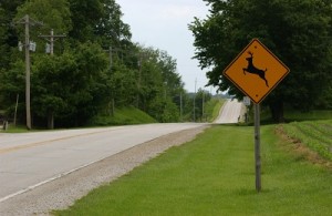 Picture of road with deer crossing sign.